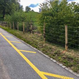 2KnotengitterzaunmitKastanienpfosten